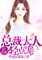 豪门危情：总裁大人轻点宠